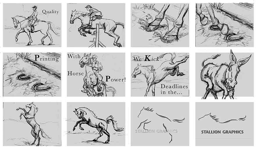 Stallion Graphics Storyboard