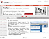 Sonario Marketing Page Design Comp
