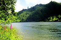 Oil and Water Do Not Mix